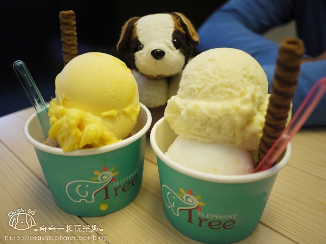 【試-分享】台南 小象樹義式冰淇淋 低脂冰淇淋．鬆餅．吐司．飲品 - 奇奇一起玩樂趣