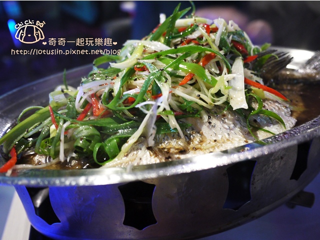 【試-分享】台南 飛魚音樂餐廳 LIVE BAND SHOW - 奇奇一起玩樂趣