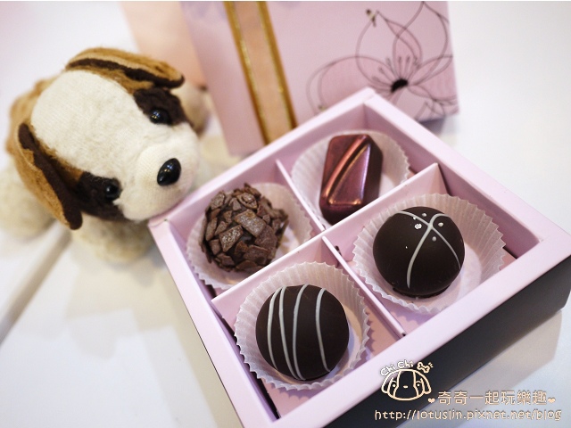 【試-分享】台南 Valentine’s Day 華侖婷娜 巧克力專賣店 - 奇奇一起玩樂趣