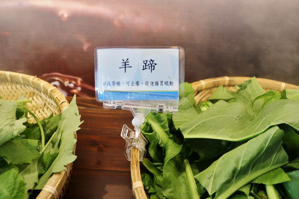 台南｜藝術轉角 東東蔬食鍋 呷菜啦！台南蔬食火鍋推薦 - 奇奇一起玩樂趣