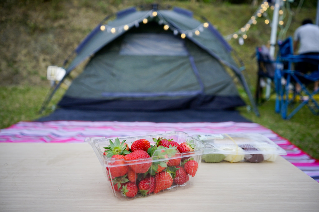 苗栗｜耀婆山露營區 在營區就能採草莓．無敵雲海美景．草地營位推薦！ - 奇奇一起玩樂趣