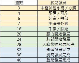 孕期記錄｜孕期各階段營養補充懶人包 孕婦要吃哪些營養品？ 多囊自然受孕 備孕期保健食品推薦！ - 奇奇一起玩樂趣