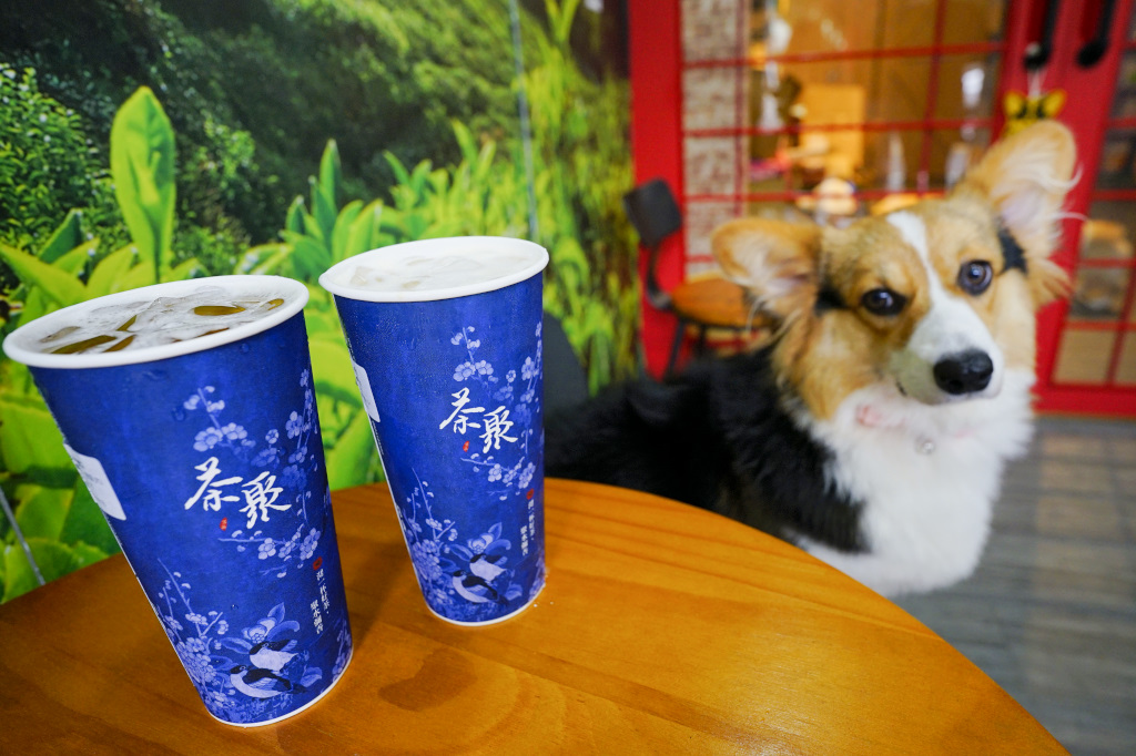 飲料｜桃園龜山 茶聚(桃園南崁店) 不能錯過的摘星奶茶 好茶喝無糖！有可愛店狗坐鎮的好茶飲品~ - 奇奇一起玩樂趣