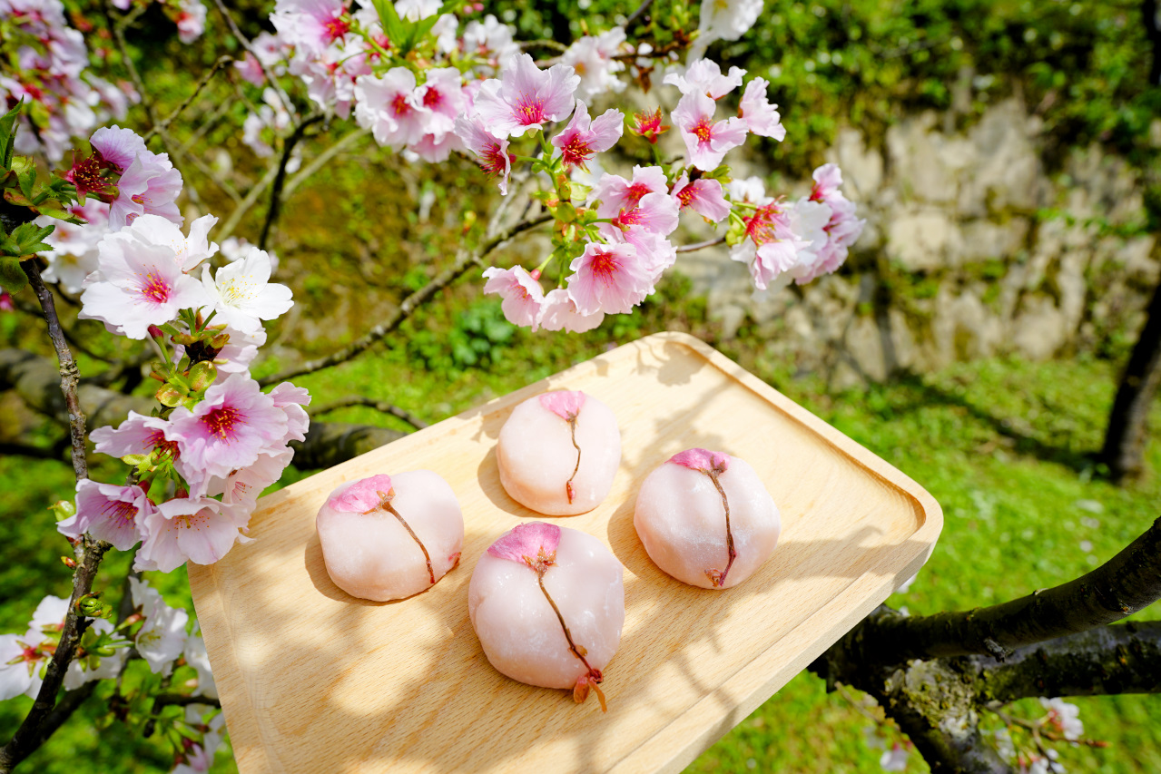甜點｜賞櫻必備甜點推薦！明月堂 日式手工櫻花和菓子 - 奇奇一起玩樂趣