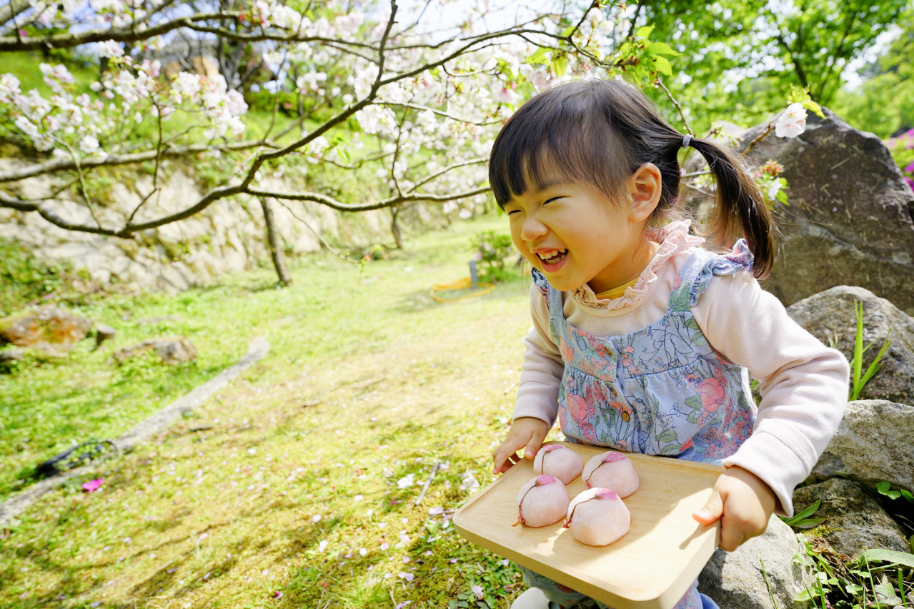 甜點｜賞櫻必備甜點推薦！明月堂 日式手工櫻花和菓子 - 奇奇一起玩樂趣
