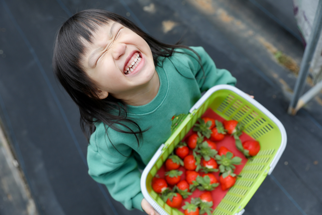 苗栗景點｜赤坡高架草莓園X赤坡Ciipoe咖啡 冬天就是要來苗栗大湖採草莓，享受草莓甜點、草莓飲品！ - 奇奇一起玩樂趣