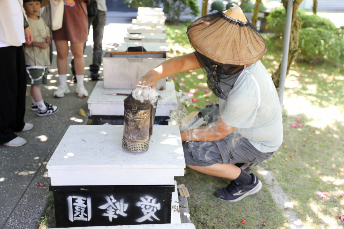 新竹親子旅遊景點推薦! 愛蜂園 蜜蜂生態導覽,小蜂農體驗親手採蜂蜜 新竹伴手禮蜂蜜.蜂蜜氣泡水.蜂蜜啤酒 - 奇奇一起玩樂趣