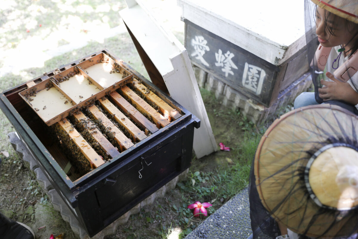 新竹親子旅遊景點推薦! 愛蜂園 蜜蜂生態導覽,小蜂農體驗親手採蜂蜜 新竹伴手禮蜂蜜.蜂蜜氣泡水.蜂蜜啤酒 - 奇奇一起玩樂趣