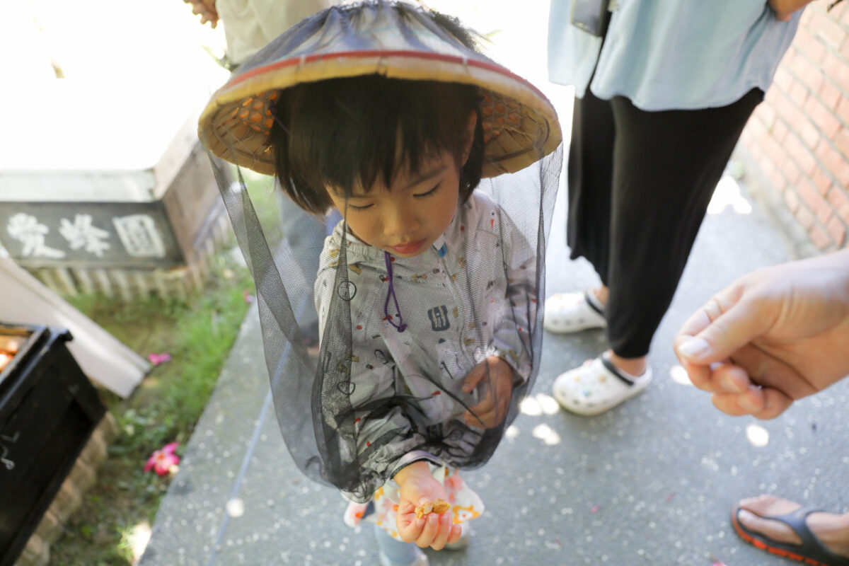 新竹親子旅遊景點推薦! 愛蜂園 蜜蜂生態導覽,小蜂農體驗親手採蜂蜜 新竹伴手禮蜂蜜.蜂蜜氣泡水.蜂蜜啤酒 - 奇奇一起玩樂趣