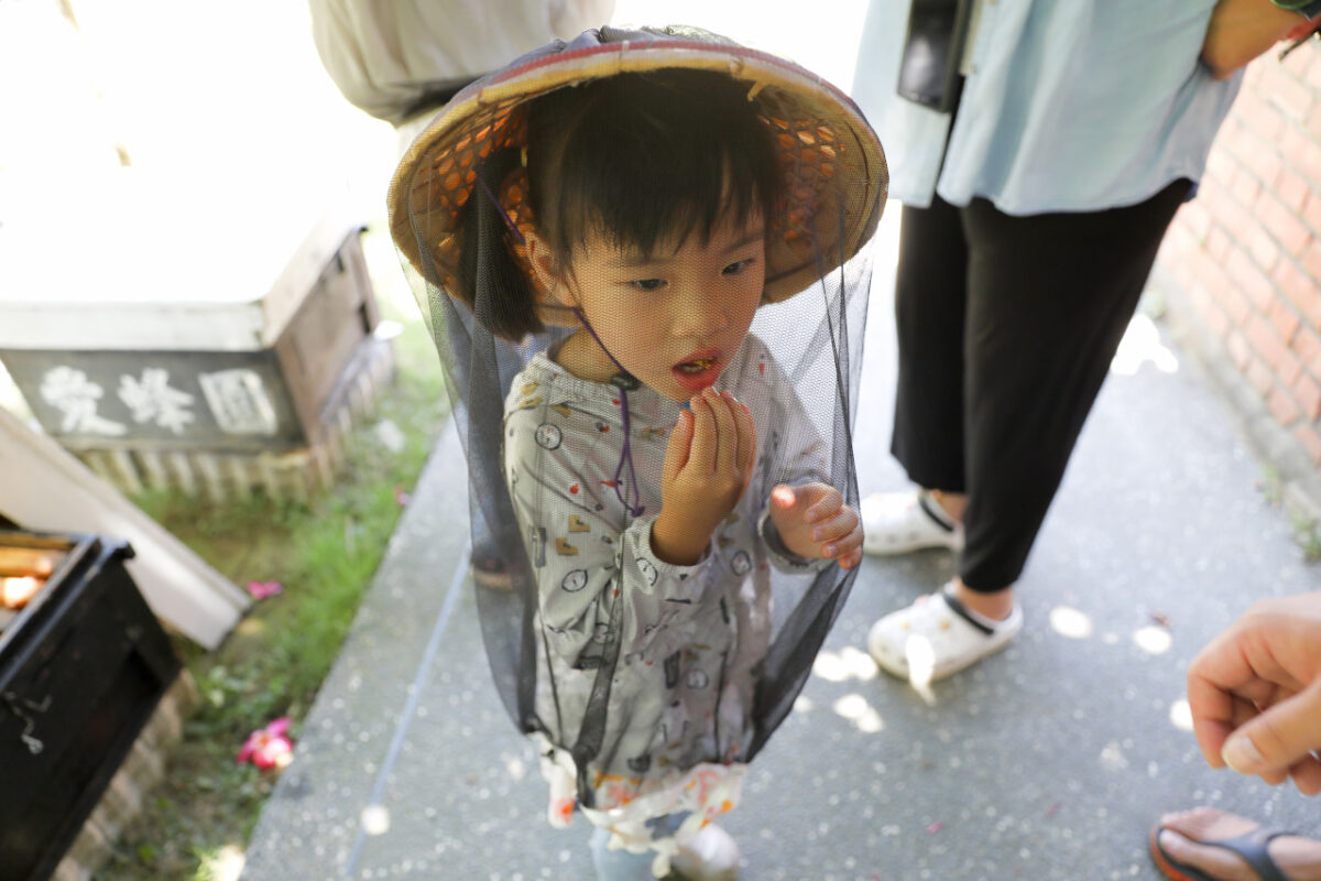 新竹親子旅遊景點推薦! 愛蜂園 蜜蜂生態導覽,小蜂農體驗親手採蜂蜜 新竹伴手禮蜂蜜.蜂蜜氣泡水.蜂蜜啤酒 - 奇奇一起玩樂趣