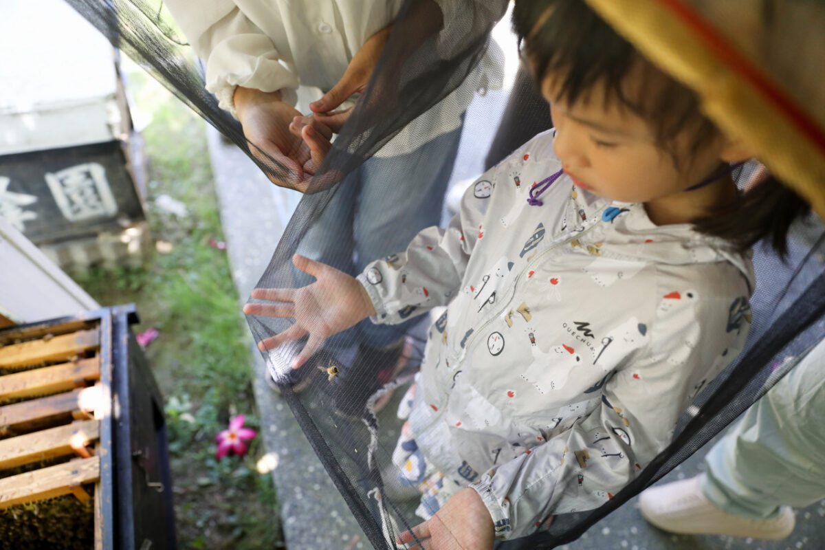 新竹親子旅遊景點推薦! 愛蜂園 蜜蜂生態導覽,小蜂農體驗親手採蜂蜜 新竹伴手禮蜂蜜.蜂蜜氣泡水.蜂蜜啤酒 - 奇奇一起玩樂趣