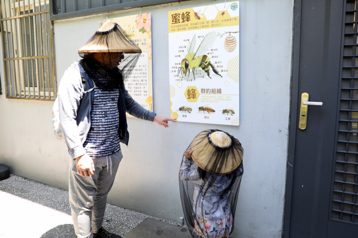 新竹親子旅遊景點推薦! 愛蜂園 蜜蜂生態導覽,小蜂農體驗親手採蜂蜜 新竹伴手禮蜂蜜.蜂蜜氣泡水.蜂蜜啤酒 - 奇奇一起玩樂趣