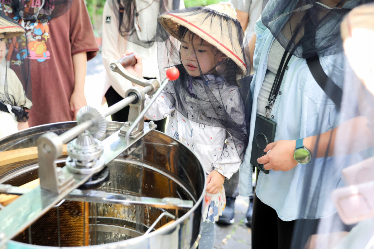 新竹親子旅遊景點推薦! 愛蜂園 蜜蜂生態導覽,小蜂農體驗親手採蜂蜜 新竹伴手禮蜂蜜.蜂蜜氣泡水.蜂蜜啤酒 - 奇奇一起玩樂趣