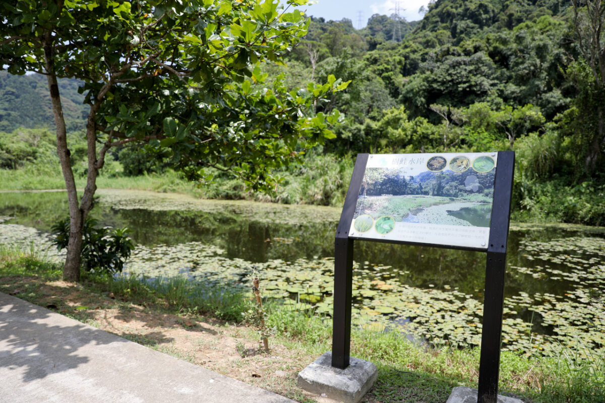 桃園大溪親子一日遊 大漢溪自行車道騎腳踏車遊山豬湖生態親水園區,大溪老街吃美食 中庄吊橋.月眉人工溼地.中庄調整池.中庄景觀土丘(共融遊具).瑞興濕地 - 奇奇一起玩樂趣