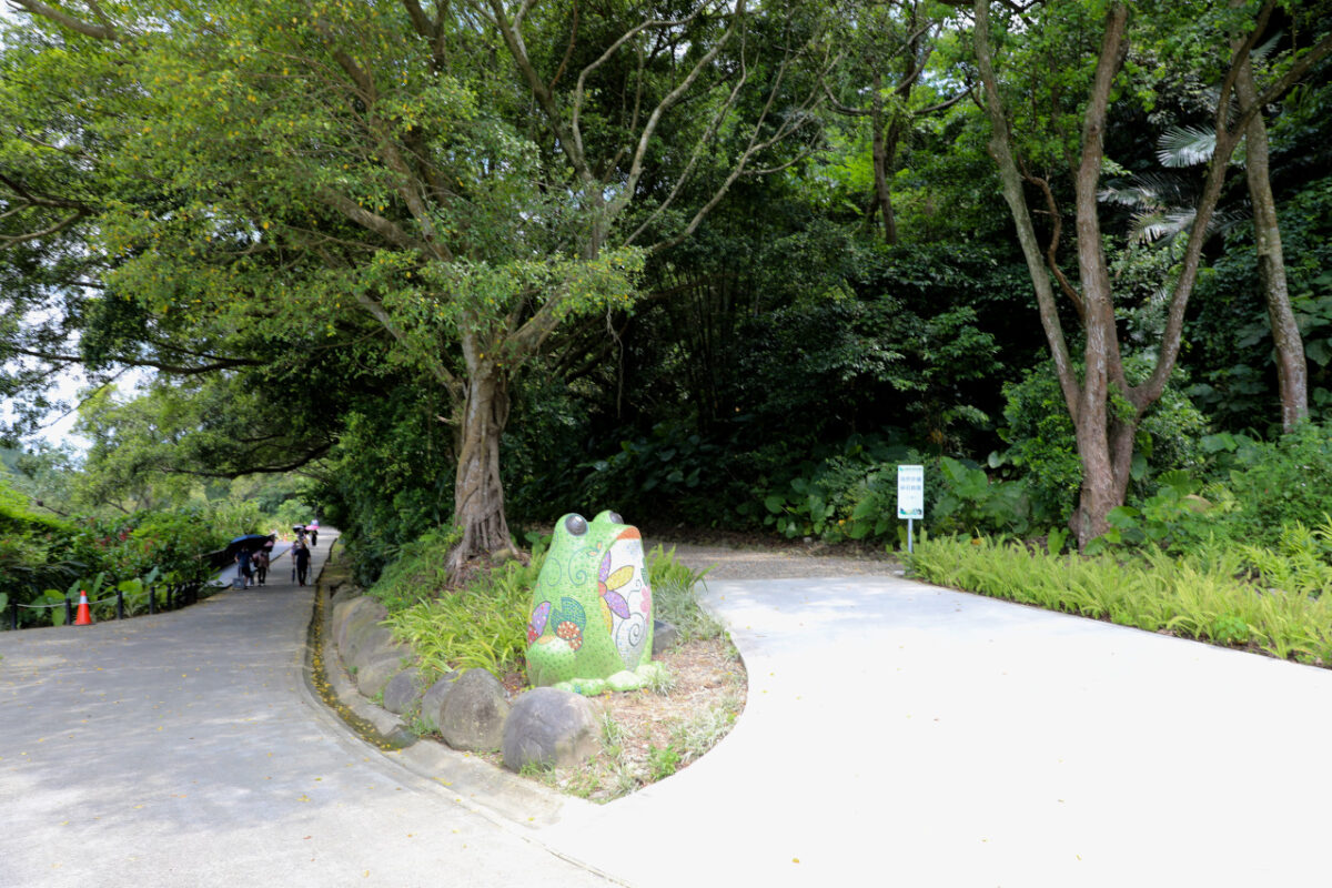 桃園大溪親子一日遊 大漢溪自行車道騎腳踏車遊山豬湖生態親水園區,大溪老街吃美食 中庄吊橋.月眉人工溼地.中庄調整池.中庄景觀土丘(共融遊具).瑞興濕地 - 奇奇一起玩樂趣