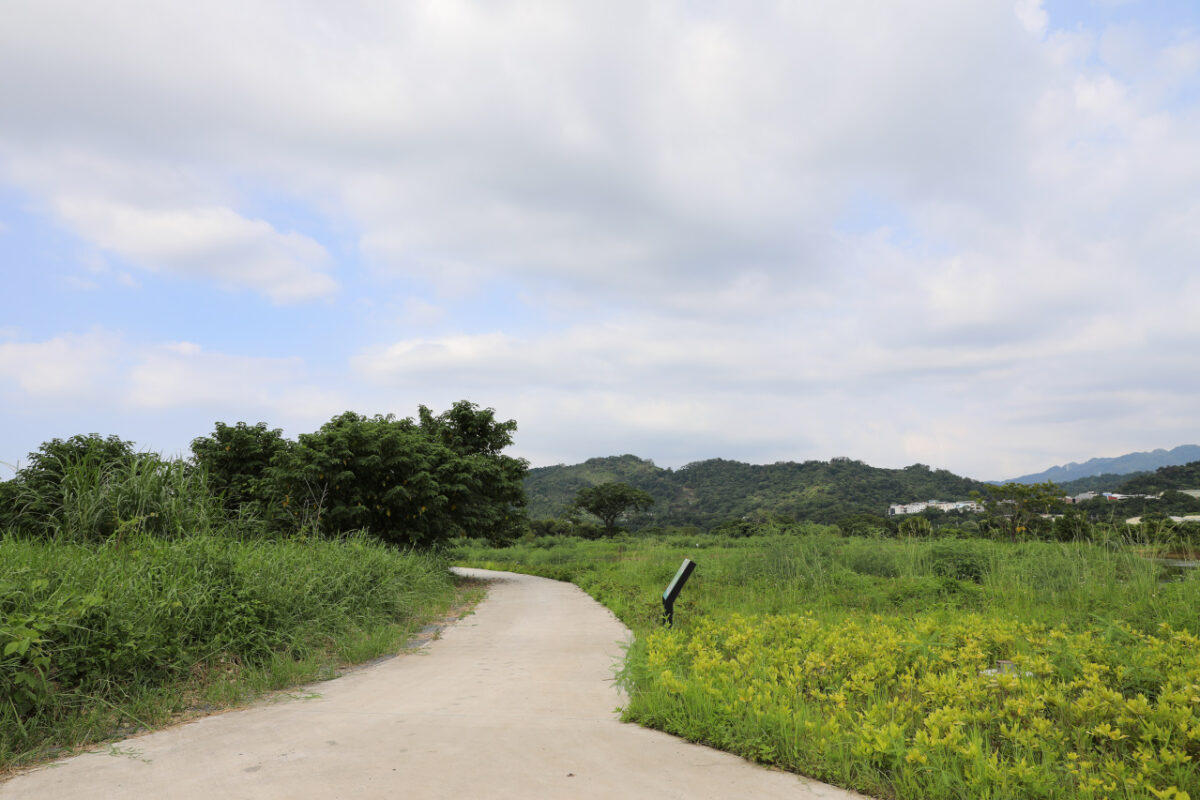 桃園大溪親子一日遊 大漢溪自行車道騎腳踏車遊山豬湖生態親水園區,大溪老街吃美食 中庄吊橋.月眉人工溼地.中庄調整池.中庄景觀土丘(共融遊具).瑞興濕地 - 奇奇一起玩樂趣