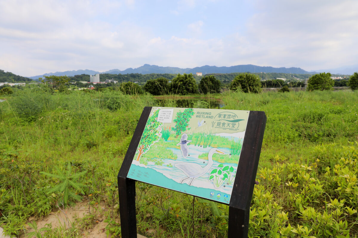 桃園大溪親子一日遊 大漢溪自行車道騎腳踏車遊山豬湖生態親水園區,大溪老街吃美食 中庄吊橋.月眉人工溼地.中庄調整池.中庄景觀土丘(共融遊具).瑞興濕地 - 奇奇一起玩樂趣