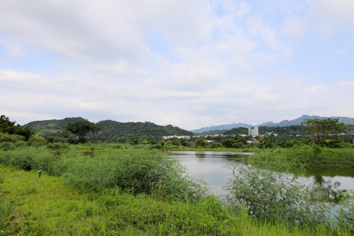 桃園大溪親子一日遊 大漢溪自行車道騎腳踏車遊山豬湖生態親水園區,大溪老街吃美食 中庄吊橋.月眉人工溼地.中庄調整池.中庄景觀土丘(共融遊具).瑞興濕地 - 奇奇一起玩樂趣