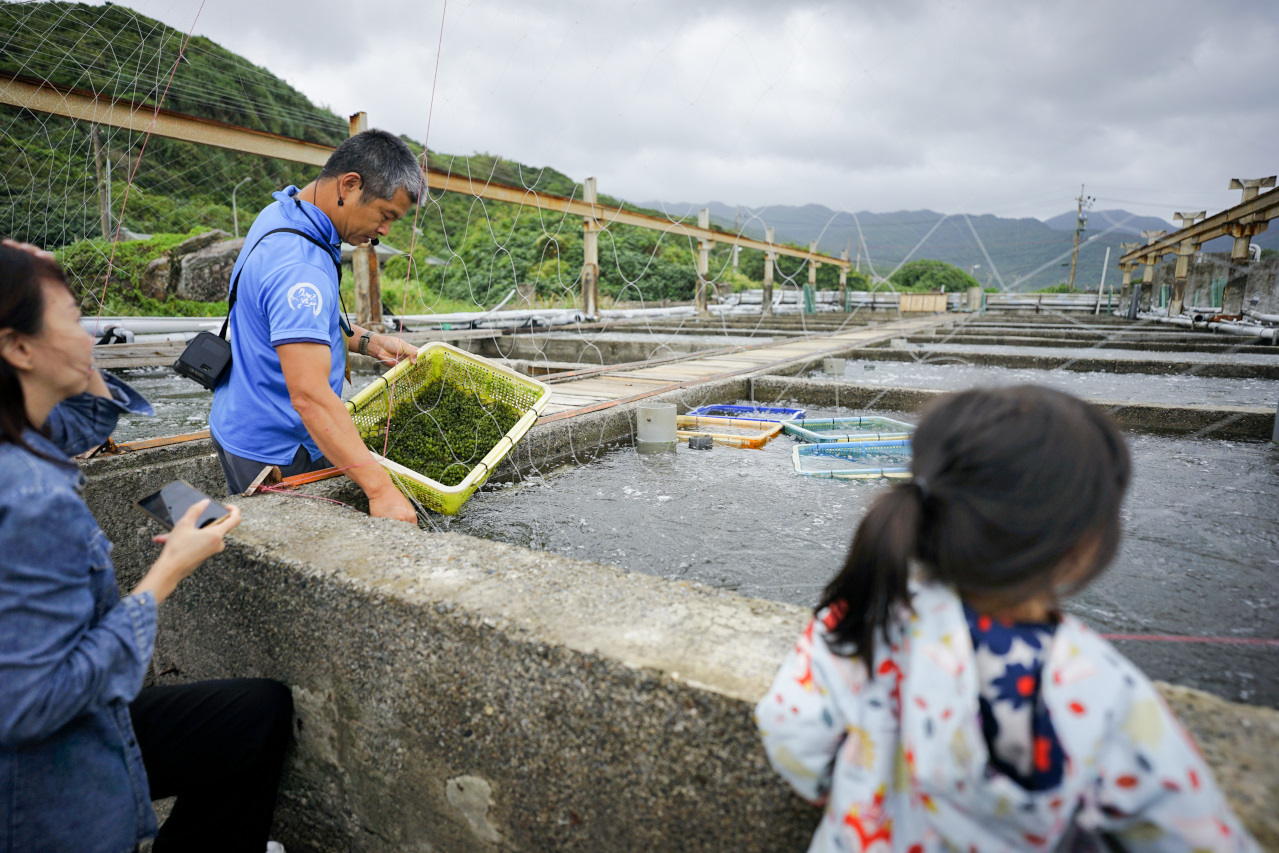 2024東北角漁村旅遊推薦! 南雅社區保家索DIY.鮮物本舖九孔生態導覽.龍門社區導覽牽罟飯體驗.卯澳社區石花凍DIY - 奇奇一起玩樂趣