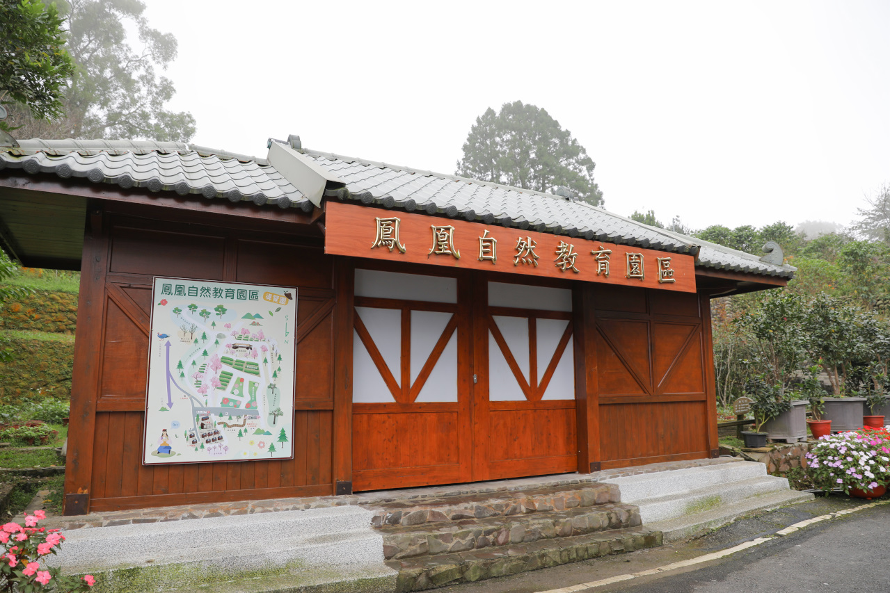 南投鹿谷住宿推薦! 鳳凰‧森之鳴 鳳凰自然教育園區 森林小木屋一泊二食 夜間生態探索 - 奇奇一起玩樂趣