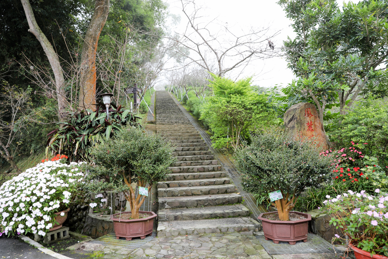 南投鹿谷住宿推薦! 鳳凰‧森之鳴 鳳凰自然教育園區 森林小木屋一泊二食 夜間生態探索 - 奇奇一起玩樂趣