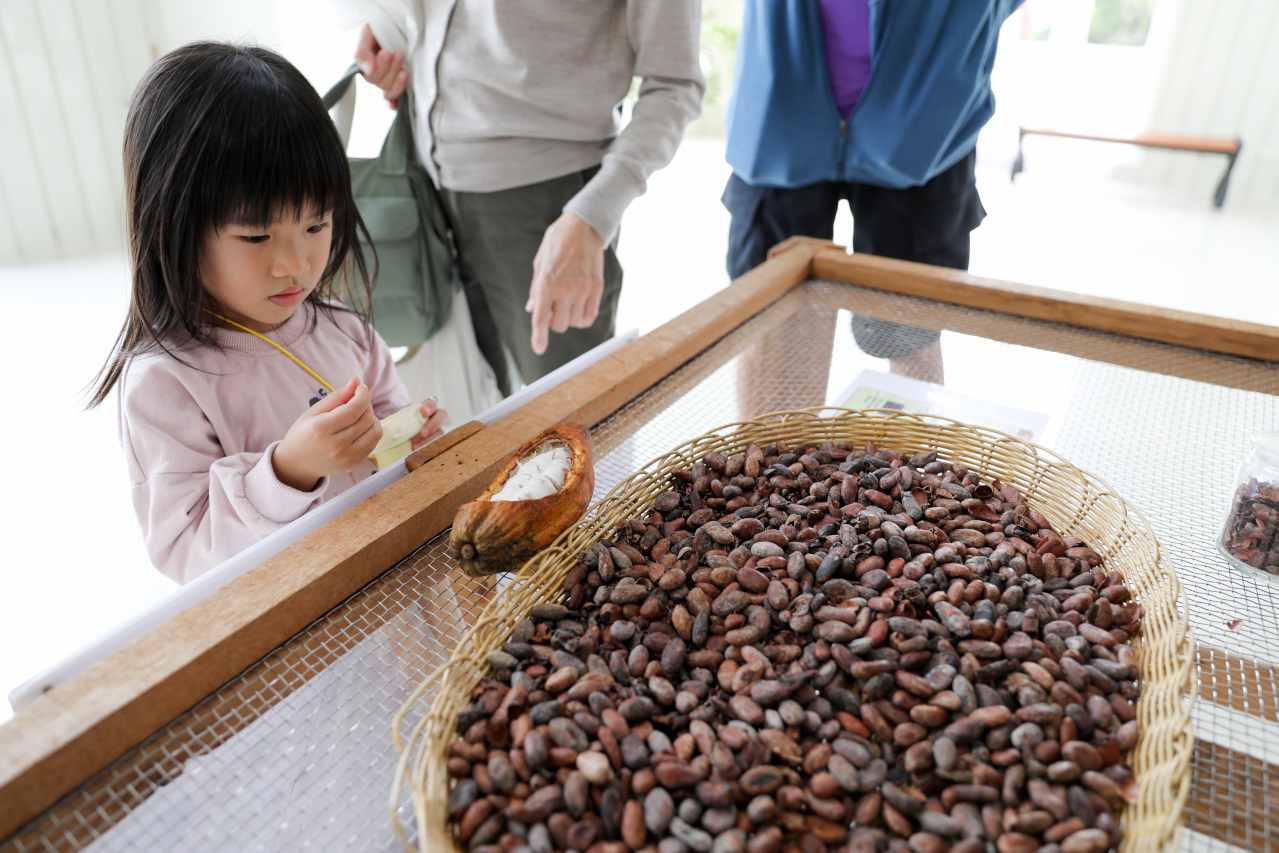 屏東巧克力觀光工廠 巧茵山可可莊園 COCOSUN 巧克力DIY.巧克力火鍋 免門票親子景點推薦! - 奇奇一起玩樂趣