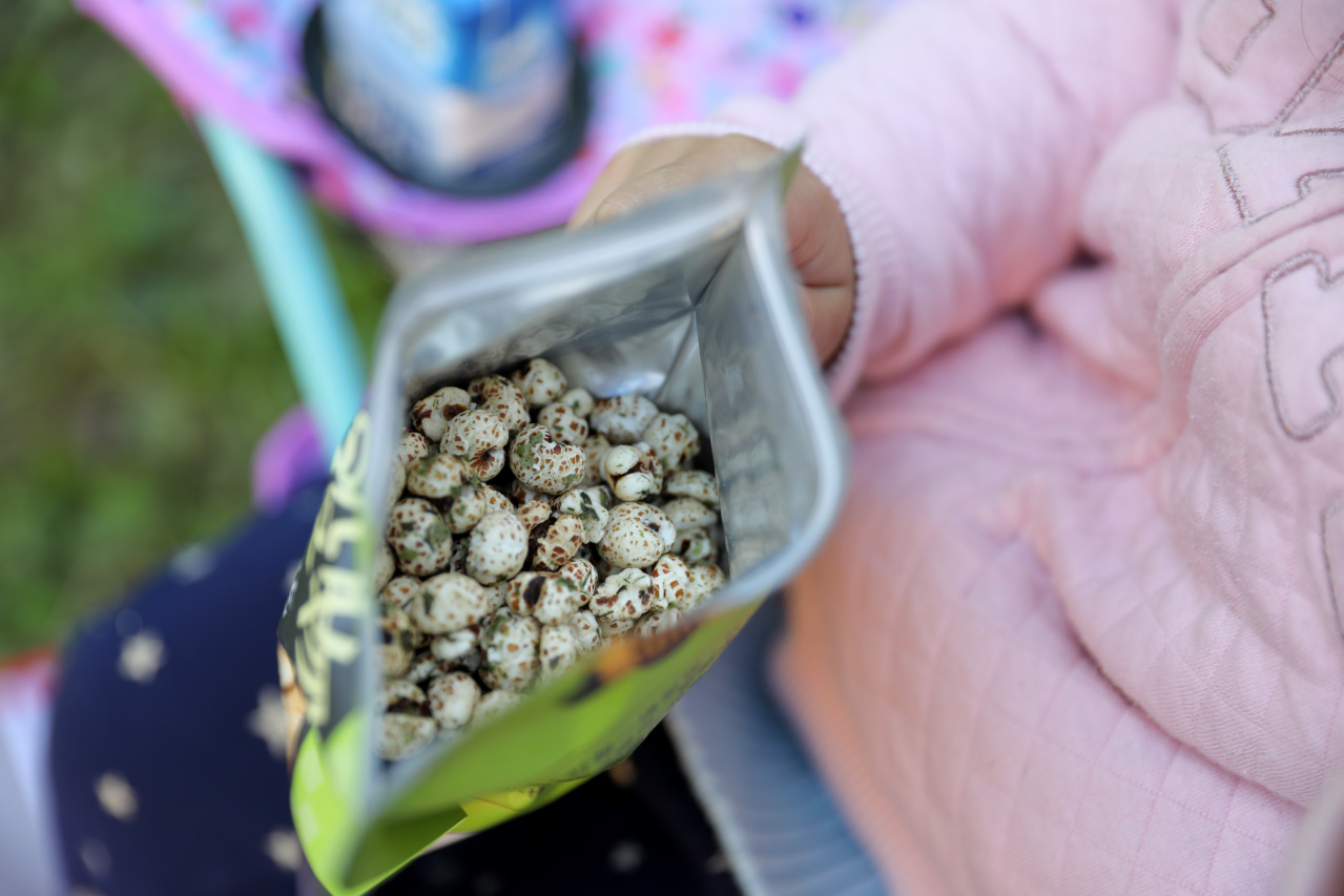 耘初茶食 蹦穀物薏米花 低溫烘烤非油炸小零嘴 適合小小孩吃的健康天然零食推薦! - 奇奇一起玩樂趣