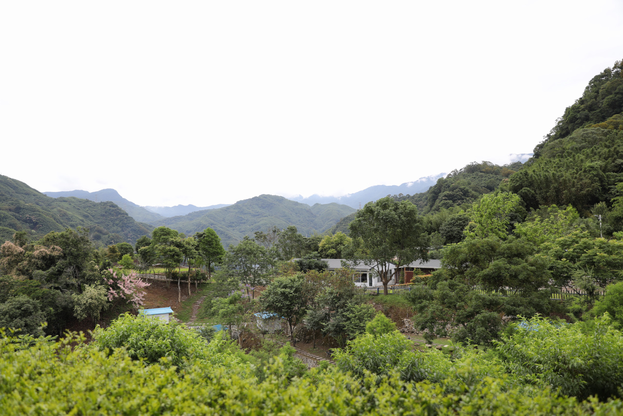 2025拉拉山新景點 桃園復興鄉秘境住宿-吾都景觀民宿 基拉耳山莊 原生菜培育吾都生態園區 - 奇奇一起玩樂趣