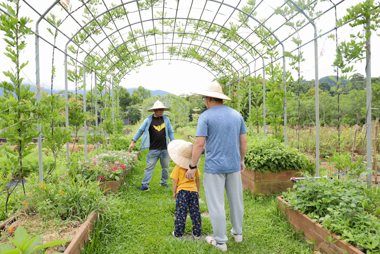 2025拉拉山新景點 桃園復興鄉秘境住宿-吾都景觀民宿 基拉耳山莊 原生菜培育吾都生態園區 - 奇奇一起玩樂趣