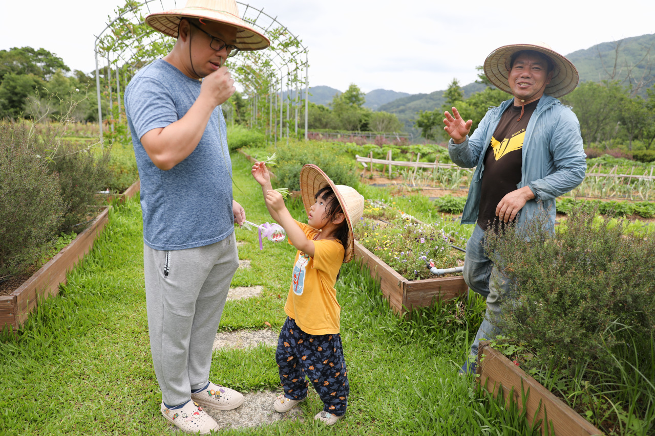 2025拉拉山新景點 桃園復興鄉秘境住宿-吾都景觀民宿 基拉耳山莊 原生菜培育吾都生態園區 - 奇奇一起玩樂趣