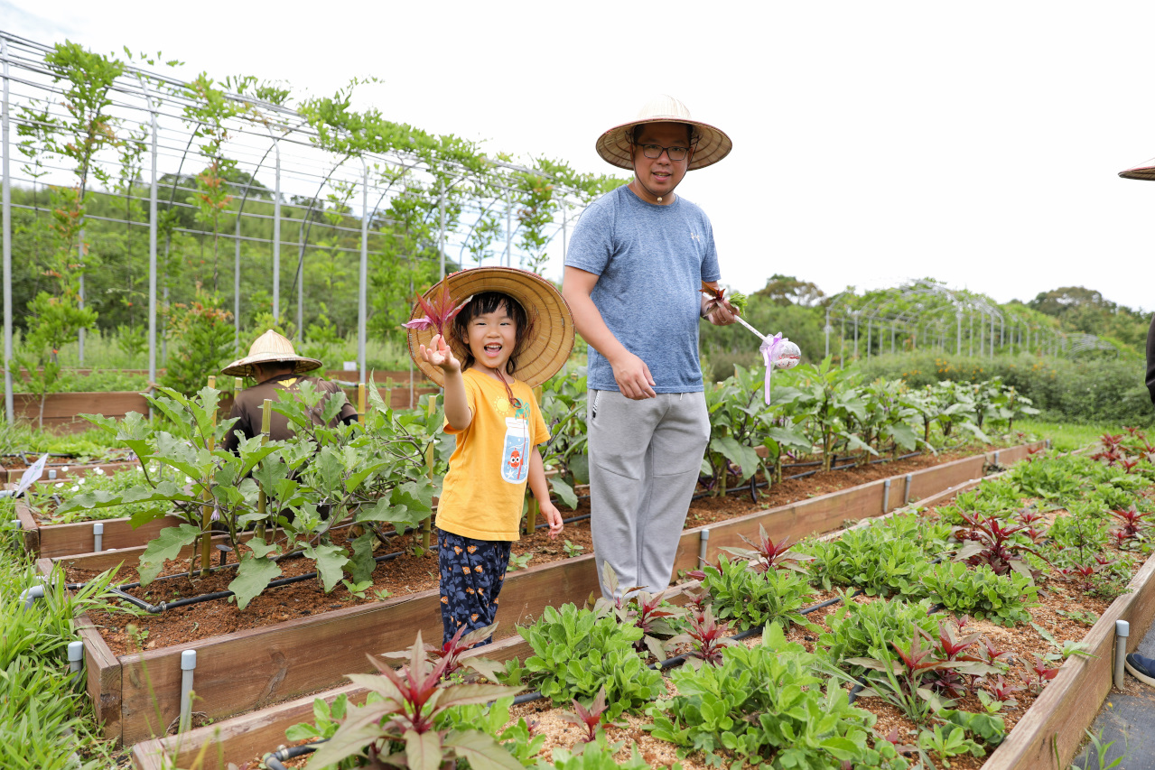 2025拉拉山新景點 桃園復興鄉秘境住宿-吾都景觀民宿 基拉耳山莊 原生菜培育吾都生態園區 - 奇奇一起玩樂趣 2025拉拉山新景點 桃園復興鄉秘境住宿-吾都景觀民宿 基拉耳山莊 原生菜培育吾都生態園區 - 奇奇一起玩樂趣