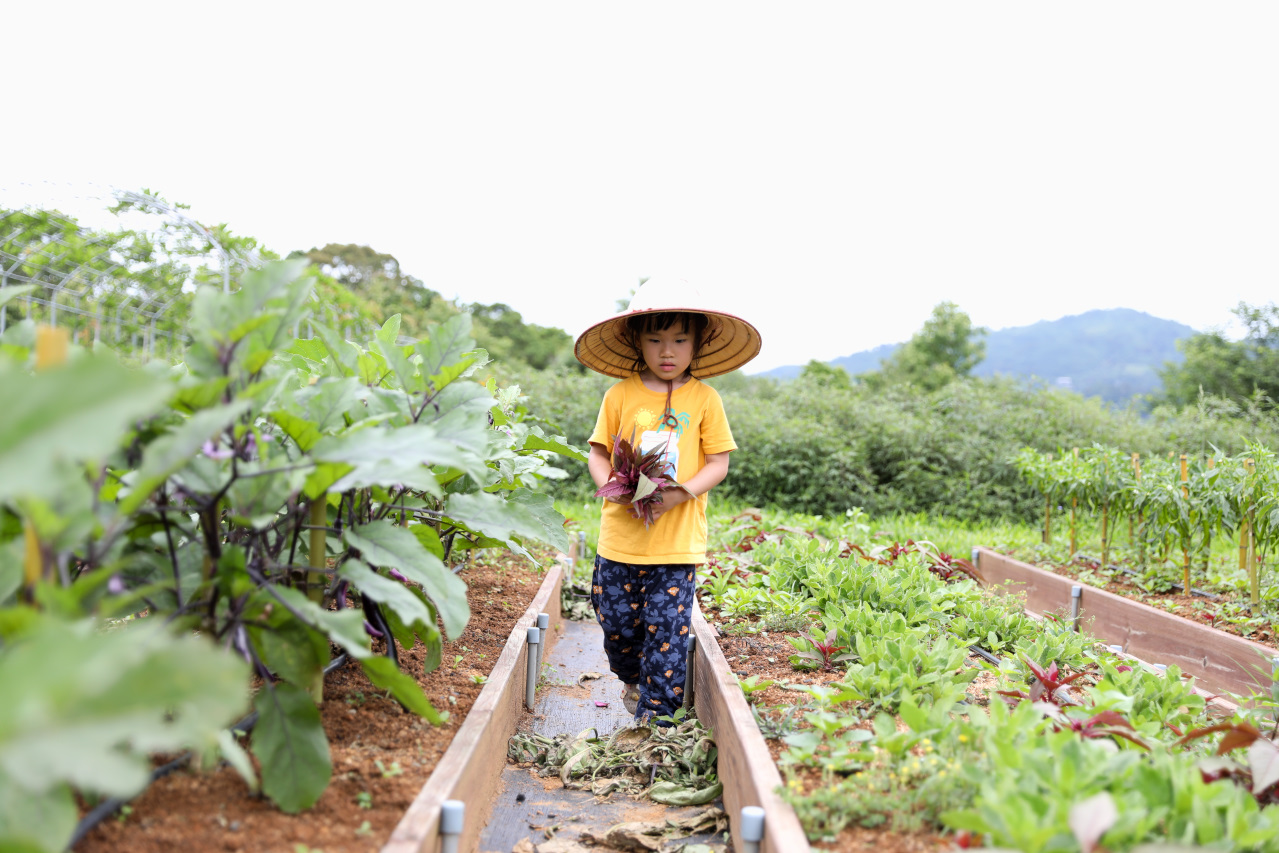 2025拉拉山新景點 桃園復興鄉秘境住宿-吾都景觀民宿 基拉耳山莊 原生菜培育吾都生態園區 - 奇奇一起玩樂趣
