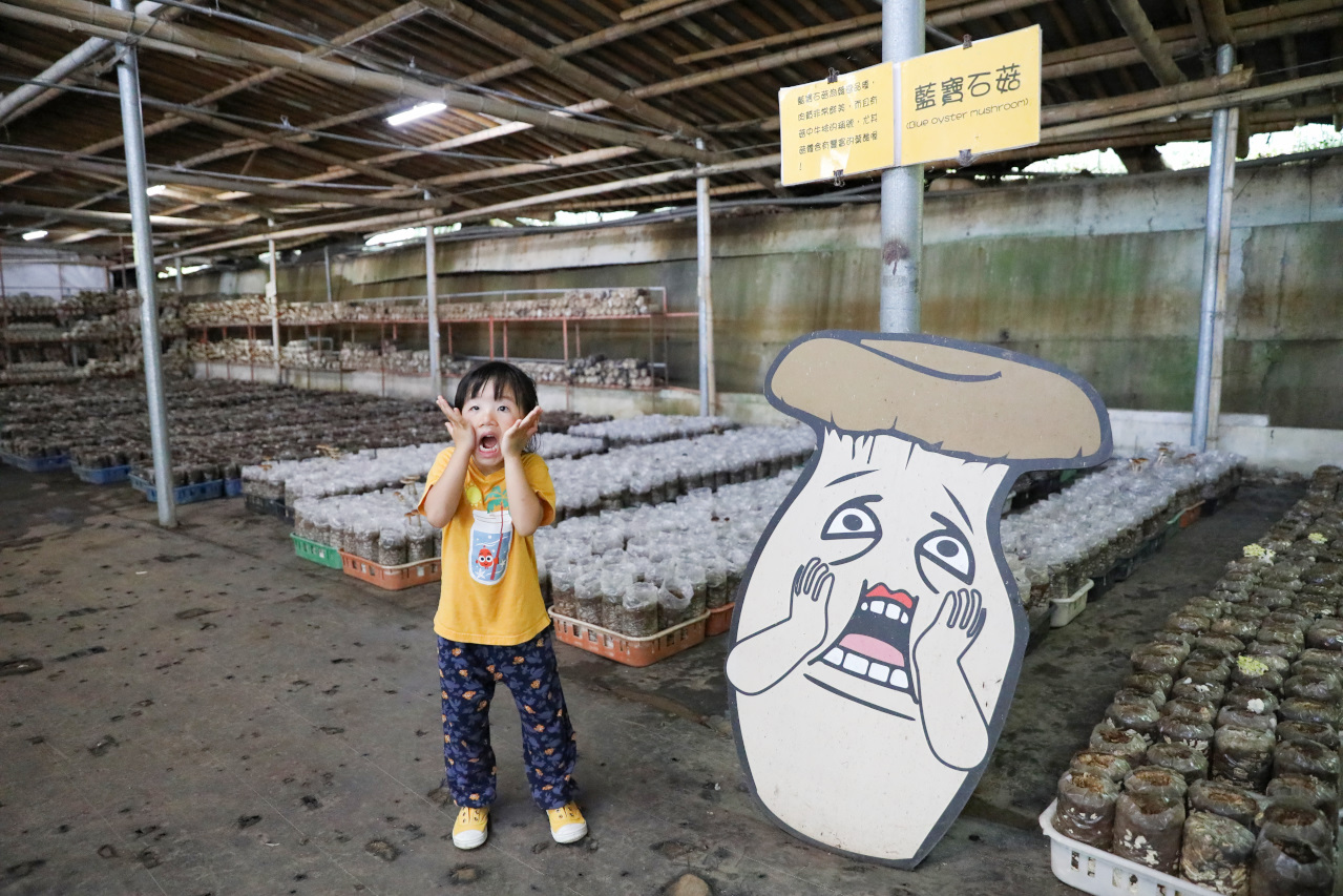 台中新社幸福農莊 包棟木屋.桶仔雞烤肉.親子DIY 兩天一夜活動體驗 - 奇奇一起玩樂趣
