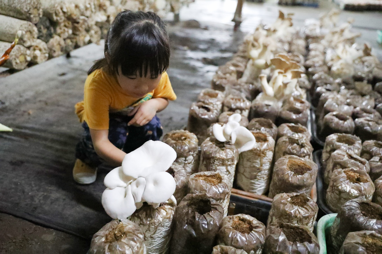 台中新社幸福農莊 包棟木屋.桶仔雞烤肉.親子DIY 兩天一夜活動體驗 - 奇奇一起玩樂趣