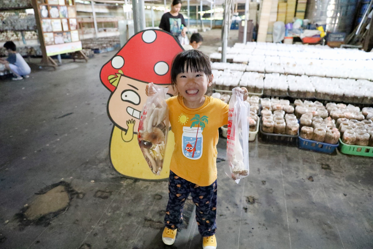 台中新社幸福農莊 包棟木屋.桶仔雞烤肉.親子DIY 兩天一夜活動體驗 - 奇奇一起玩樂趣