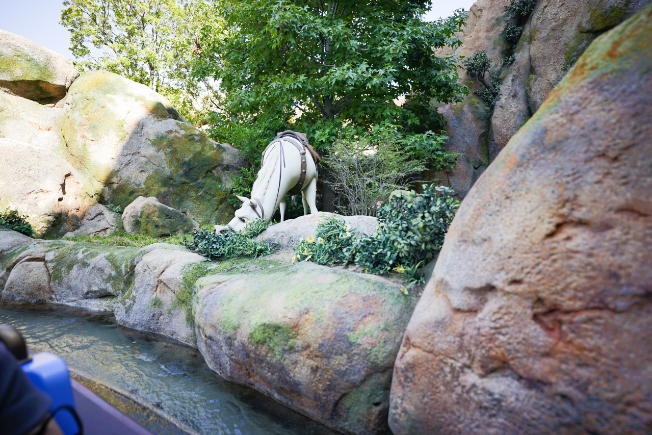 日本東京迪士尼海洋攻略分享 2025萬聖節親子生日之旅! 領取生日紀念貼紙,享受壽星禮遇 善用迪士尼APP抽PP.MO點餐.購買DPA輕鬆玩泉鄉園區 - 奇奇一起玩樂趣