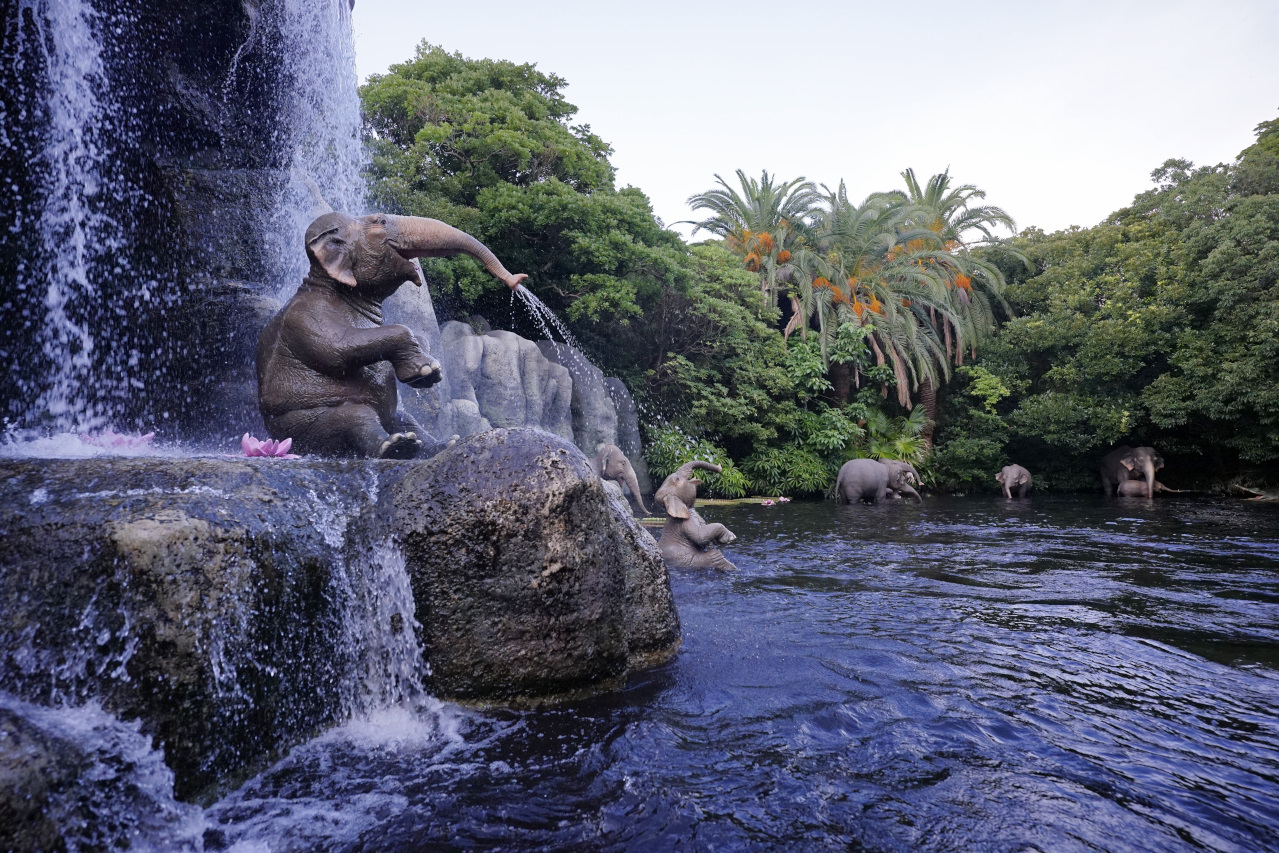 日本東京迪士尼樂園攻略分享 2025萬聖節親子生日之旅! 一日暢玩陸地18項遊樂設施,善用迪士尼APP抽PP.MO點餐.購買DPA,不花時間排隊餐廳看遊行秘密地點 - 奇奇一起玩樂趣 日本東京迪士尼樂園攻略分享 2025萬聖節親子生日之旅! 一日暢玩陸地18項遊樂設施,善用迪士尼APP抽PP.MO點餐.購買DPA,不花時間排隊餐廳看遊行秘密地點 - 奇奇一起玩樂趣