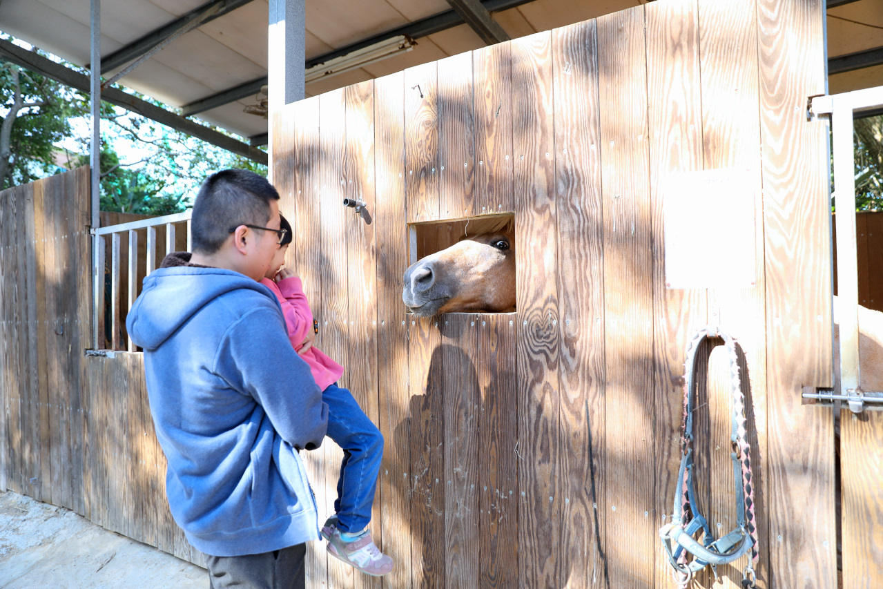 台北親子騎馬體驗推薦! 淡水佑昇馬術中心 一日小小騎士馬術體驗課程 - 奇奇一起玩樂趣 台北親子騎馬體驗推薦! 淡水佑昇馬術中心 一日小小騎士馬術體驗課程 - 奇奇一起玩樂趣
