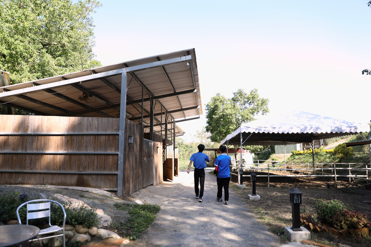 台北親子騎馬體驗推薦! 淡水佑昇馬術中心 一日小小騎士馬術體驗課程 - 奇奇一起玩樂趣 台北親子騎馬體驗推薦! 淡水佑昇馬術中心 一日小小騎士馬術體驗課程 - 奇奇一起玩樂趣