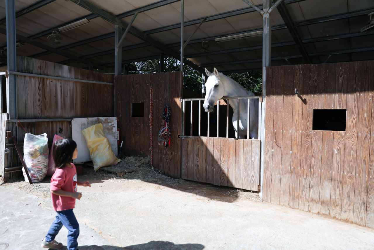 台北親子騎馬體驗推薦! 淡水佑昇馬術中心 一日小小騎士馬術體驗課程 - 奇奇一起玩樂趣 台北親子騎馬體驗推薦! 淡水佑昇馬術中心 一日小小騎士馬術體驗課程 - 奇奇一起玩樂趣