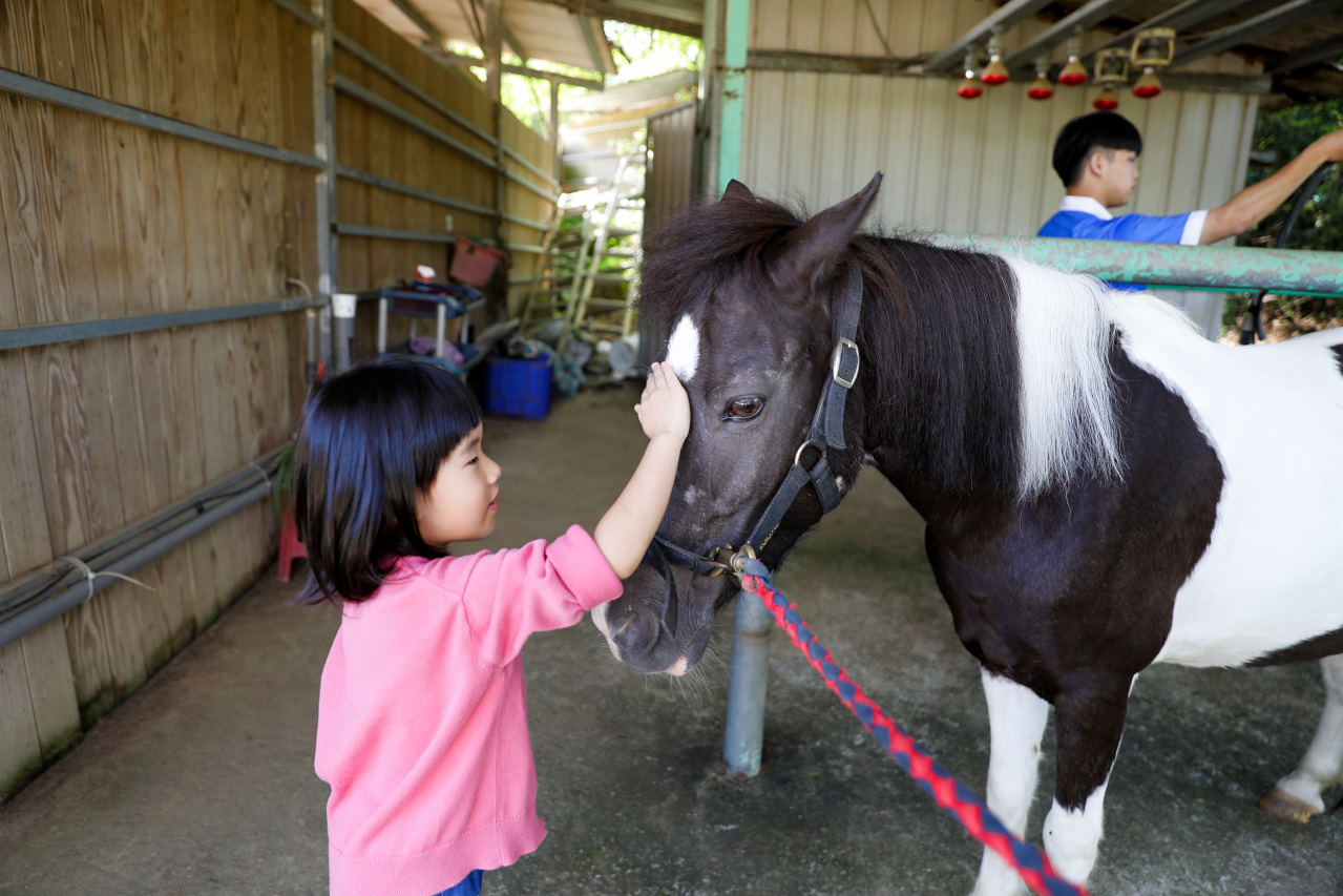 台北親子騎馬體驗推薦! 淡水佑昇馬術中心 一日小小騎士馬術體驗課程 - 奇奇一起玩樂趣 台北親子騎馬體驗推薦! 淡水佑昇馬術中心 一日小小騎士馬術體驗課程 - 奇奇一起玩樂趣