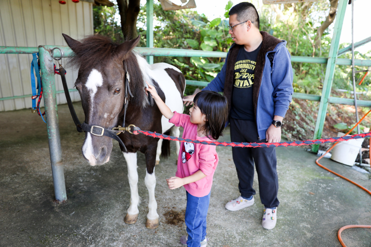 台北親子騎馬體驗推薦! 淡水佑昇馬術中心 一日小小騎士馬術體驗課程 - 奇奇一起玩樂趣 台北親子騎馬體驗推薦! 淡水佑昇馬術中心 一日小小騎士馬術體驗課程 - 奇奇一起玩樂趣
