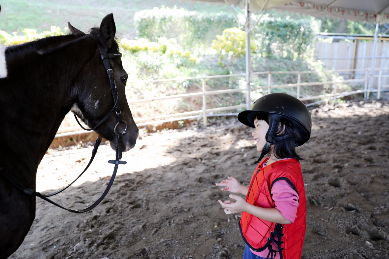 台北親子騎馬體驗推薦! 淡水佑昇馬術中心 一日小小騎士馬術體驗課程 - 奇奇一起玩樂趣 台北親子騎馬體驗推薦! 淡水佑昇馬術中心 一日小小騎士馬術體驗課程 - 奇奇一起玩樂趣