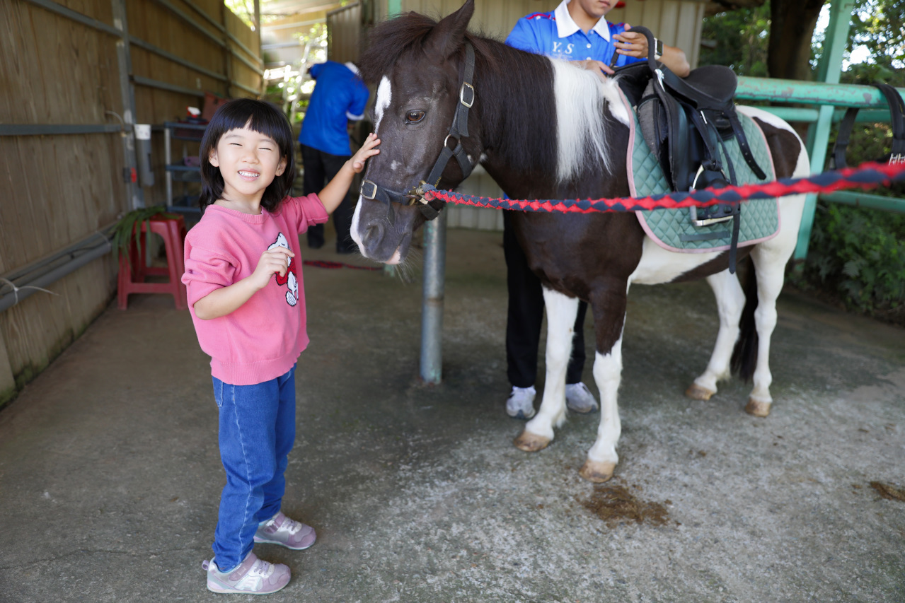 台北親子騎馬體驗推薦! 淡水佑昇馬術中心 一日小小騎士馬術體驗課程 - 奇奇一起玩樂趣 台北親子騎馬體驗推薦! 淡水佑昇馬術中心 一日小小騎士馬術體驗課程 - 奇奇一起玩樂趣
