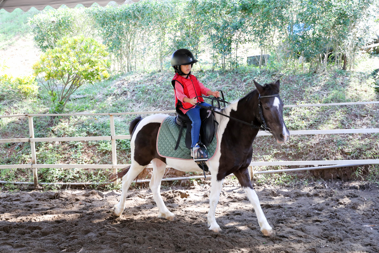 台北親子騎馬體驗推薦! 淡水佑昇馬術中心 一日小小騎士馬術體驗課程 - 奇奇一起玩樂趣 台北親子騎馬體驗推薦! 淡水佑昇馬術中心 一日小小騎士馬術體驗課程 - 奇奇一起玩樂趣