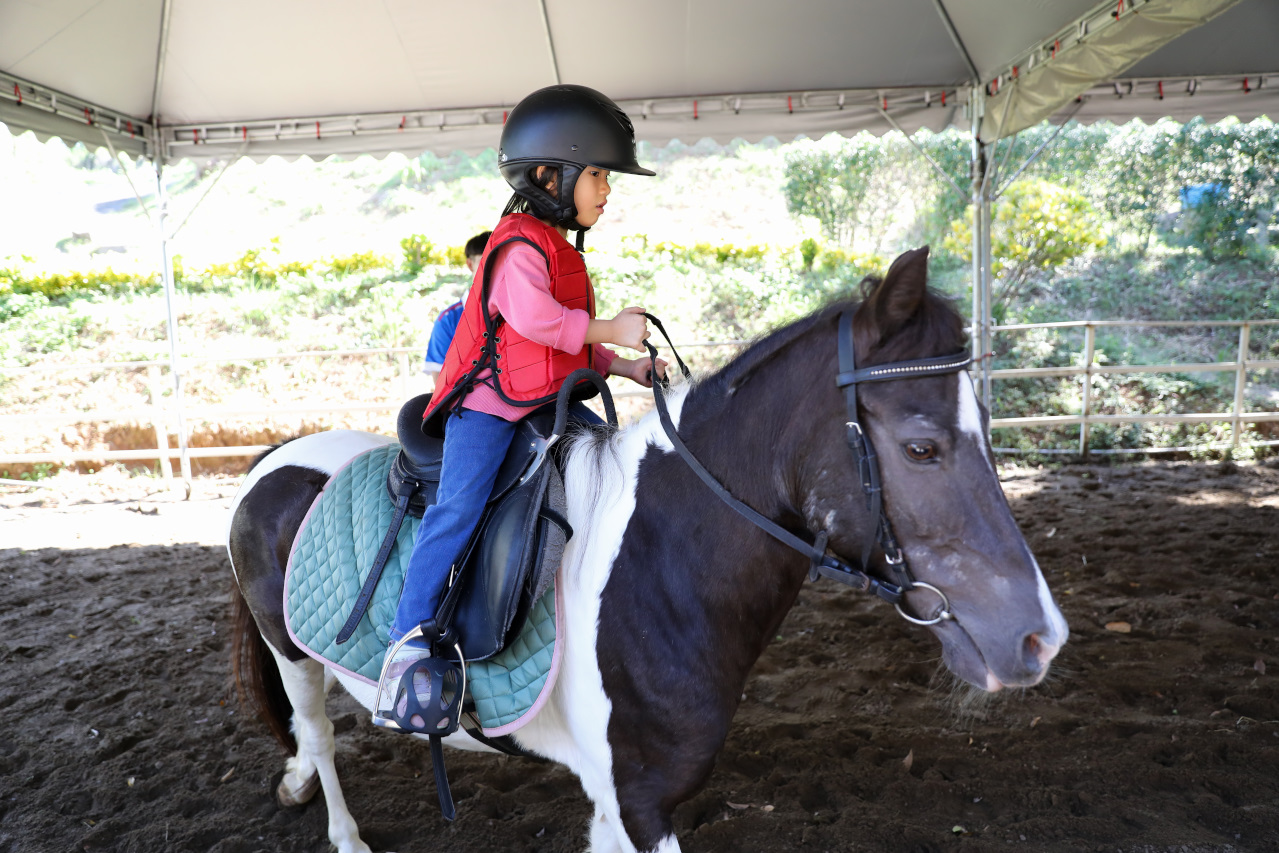 台北親子騎馬體驗推薦! 淡水佑昇馬術中心 一日小小騎士馬術體驗課程 - 奇奇一起玩樂趣 台北親子騎馬體驗推薦! 淡水佑昇馬術中心 一日小小騎士馬術體驗課程 - 奇奇一起玩樂趣