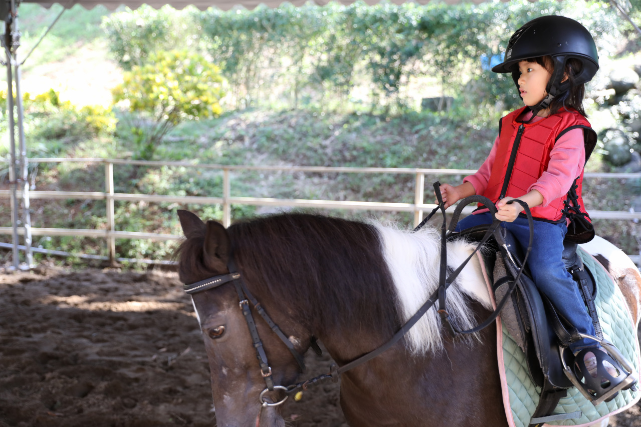 台北親子騎馬體驗推薦! 淡水佑昇馬術中心 一日小小騎士馬術體驗課程 - 奇奇一起玩樂趣 台北親子騎馬體驗推薦! 淡水佑昇馬術中心 一日小小騎士馬術體驗課程 - 奇奇一起玩樂趣