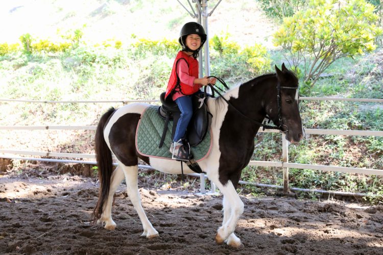 台北親子騎馬體驗推薦! 淡水佑昇馬術中心 一日小小騎士馬術體驗課程 - 奇奇一起玩樂趣