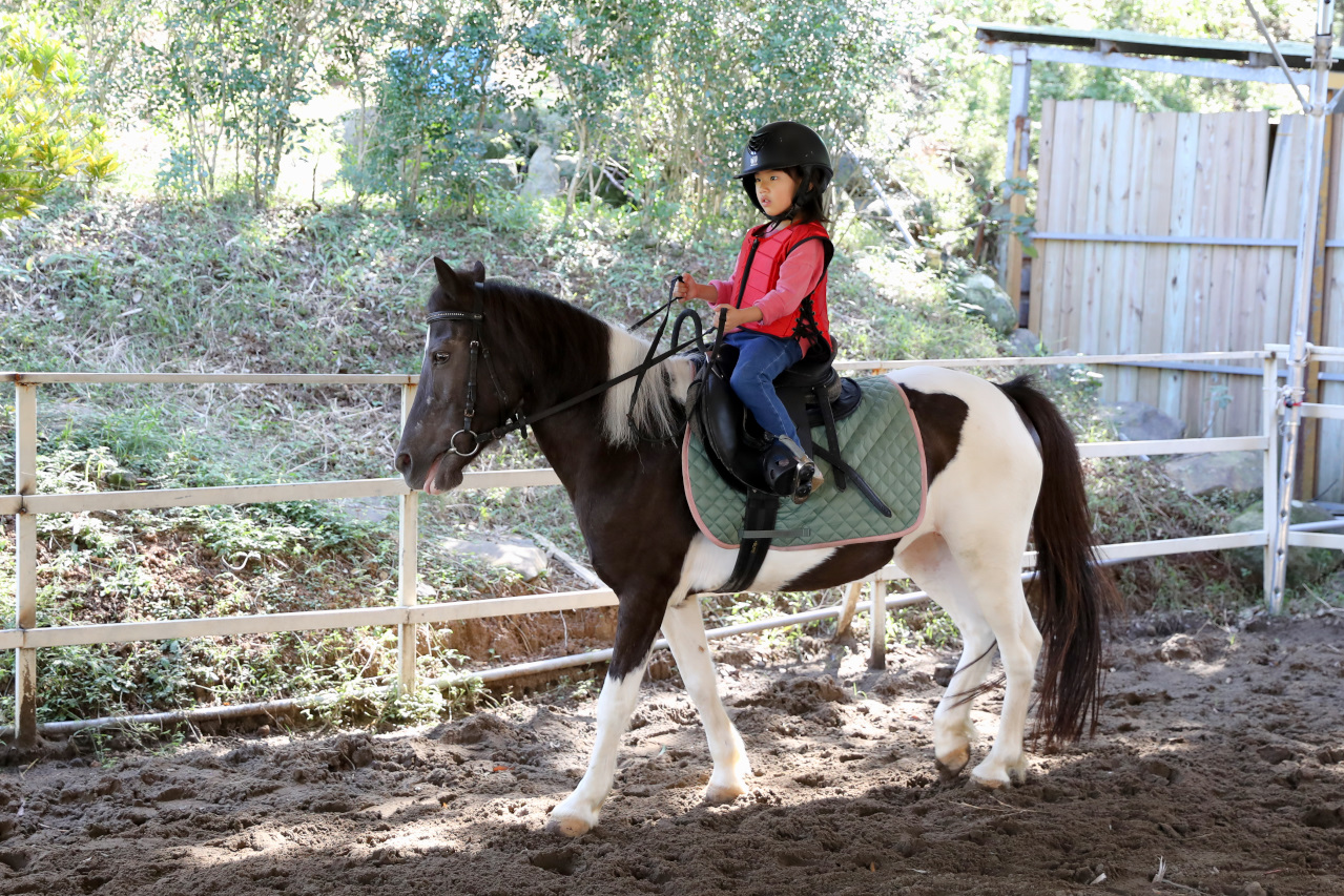台北親子騎馬體驗推薦! 淡水佑昇馬術中心 一日小小騎士馬術體驗課程 - 奇奇一起玩樂趣 台北親子騎馬體驗推薦! 淡水佑昇馬術中心 一日小小騎士馬術體驗課程 - 奇奇一起玩樂趣