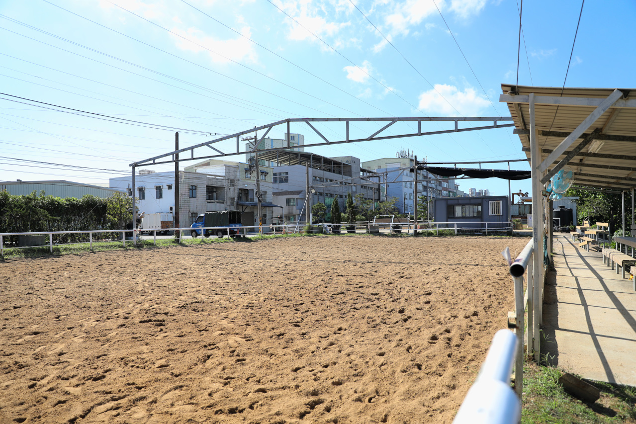 台北親子騎馬體驗推薦! 淡水佑昇馬術中心 一日小小騎士馬術體驗課程 - 奇奇一起玩樂趣 台北親子騎馬體驗推薦! 淡水佑昇馬術中心 一日小小騎士馬術體驗課程 - 奇奇一起玩樂趣